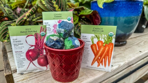 Seed Bomb Kids Craft Event