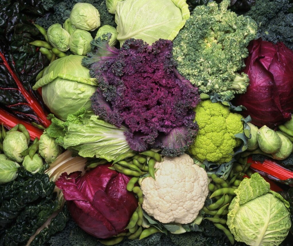 Cool-season vegetables