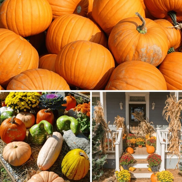Fall fundraising