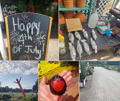 Fourth of July sale at Meadows Farms Nurseries