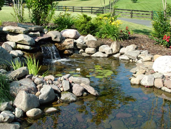 Custom pond with waterfall