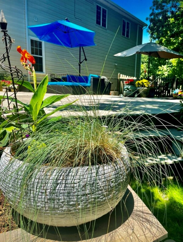 June Landscape Design of the Month - June 2022