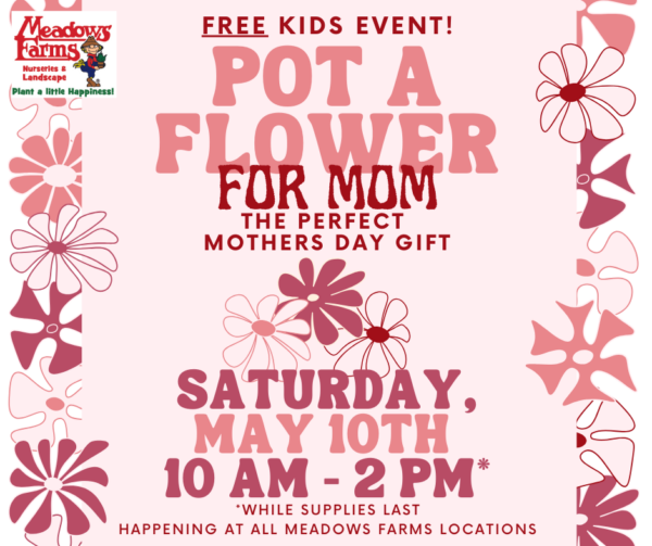 FREE Kids Event: Pot a Flower for Mom